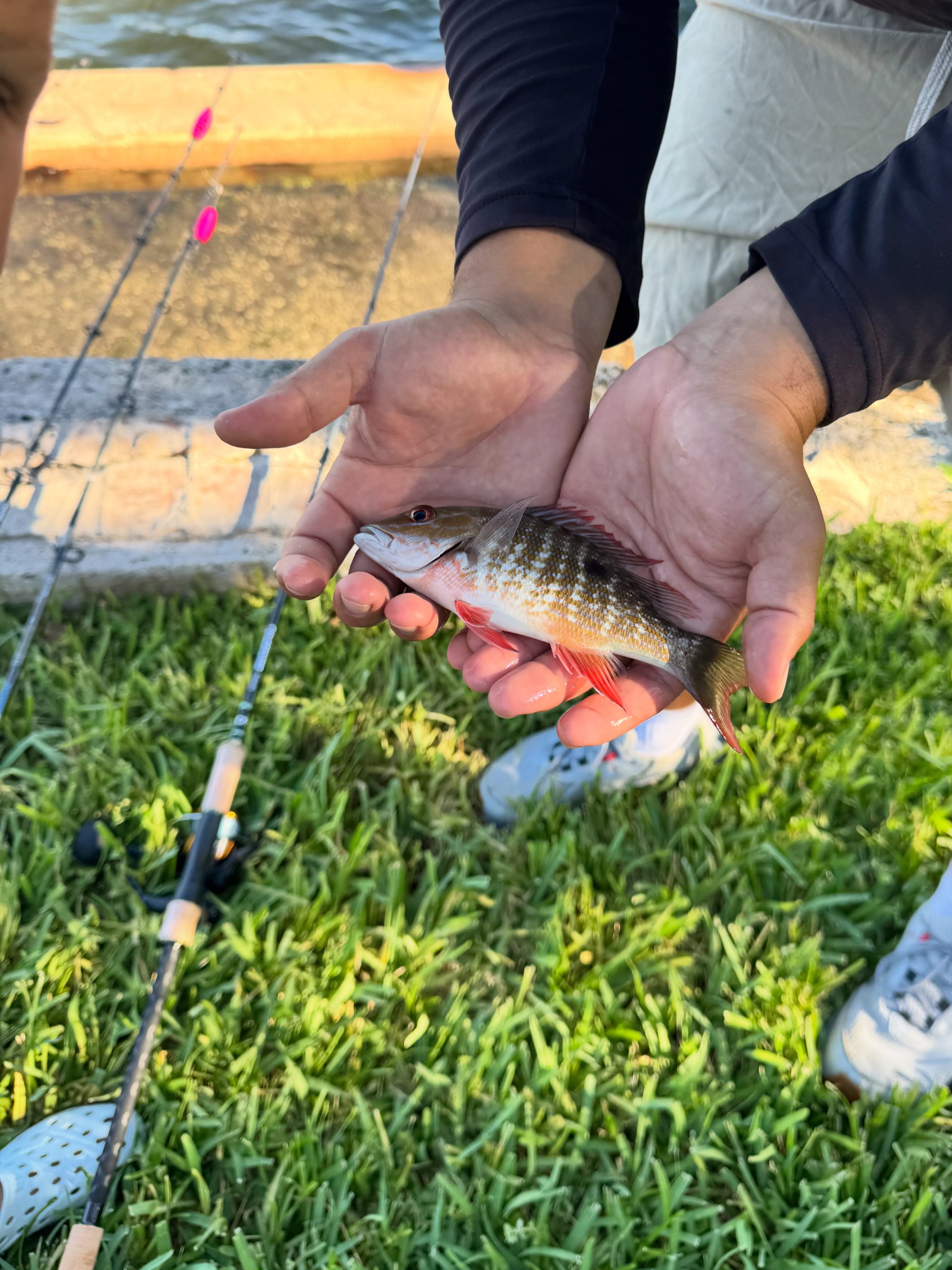 Kids fishing together along the water